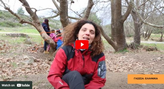 Το σχολείο του Δάσους