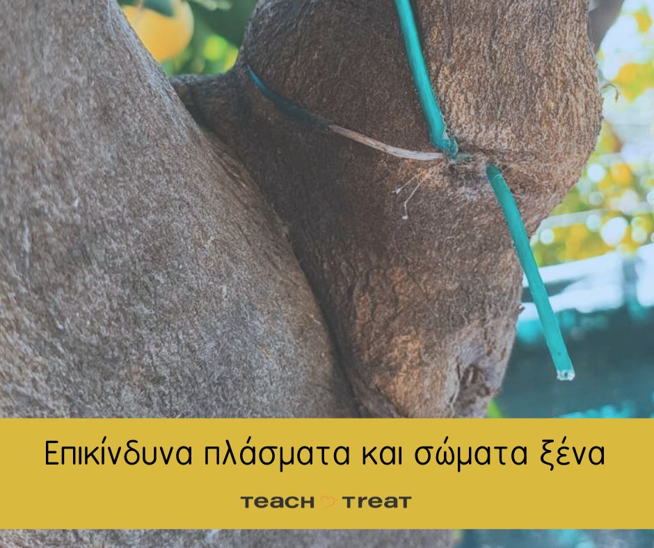 Επικίνδυνα πλάσματα και σώματα ξένα