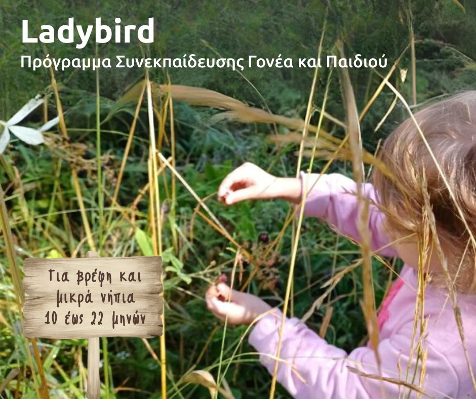 Ladybird- Πρόγραμμα Συνεκπαίδευσης Γονέα και Παιδιού
